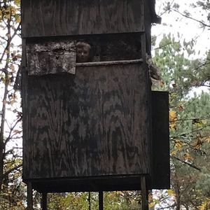 Meet your Posher, Bryan